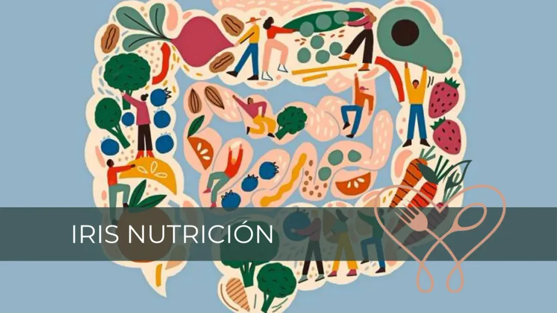 Alimentos ricos en fibra